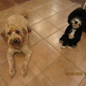 Meet your Posher, Nancy